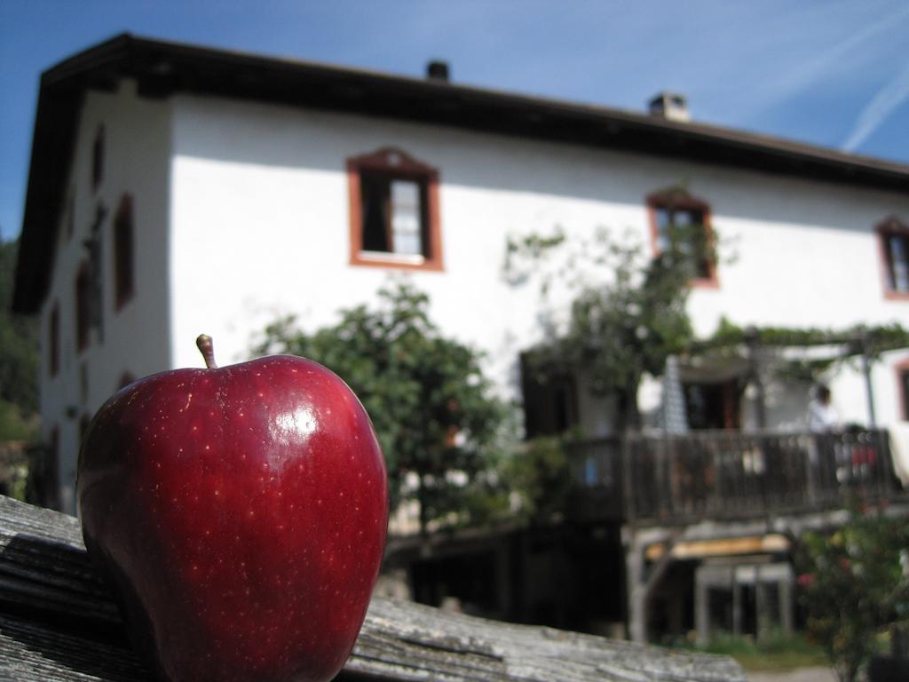 Willa Gruberhof San Genesio Atesino Zewnętrze zdjęcie