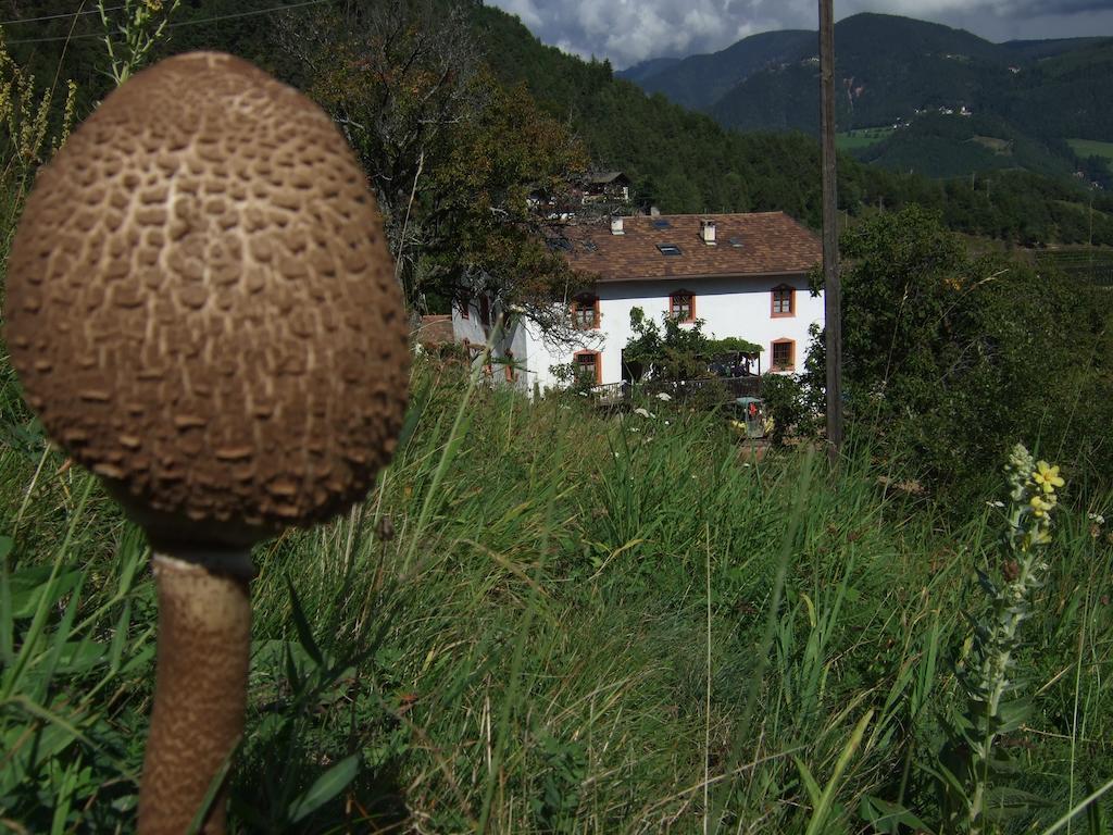 Willa Gruberhof San Genesio Atesino Zewnętrze zdjęcie